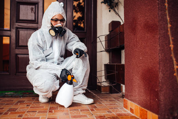 Reliable Ant Control contractor in Nashua, NH by Show Me Pest Control